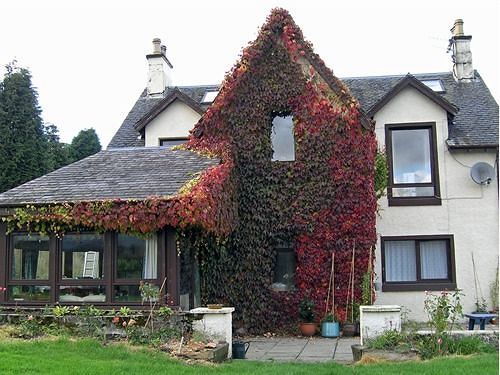Achnabobane Farmhouse Spean Bridge Bagian luar foto